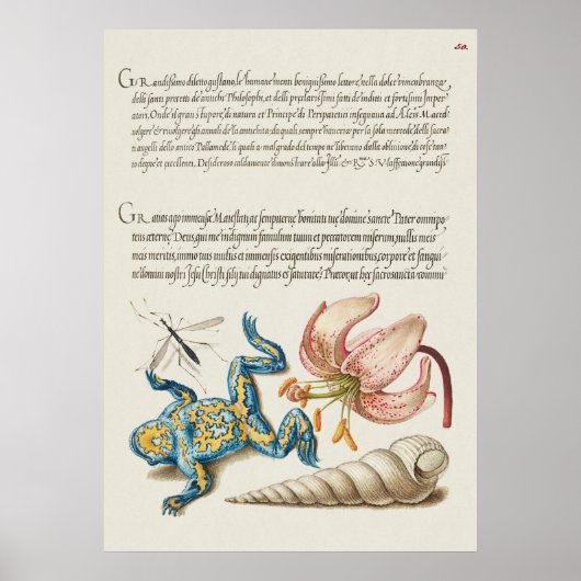  Poster Botanische illustratie (Voorkant)