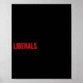 Poster (both Side) Don't Make Fun Of Liberals Without Me (Devant)