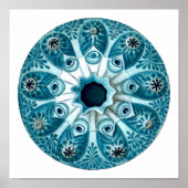 Poster Botryllus Polycyclus Ernst Haeckel Fine Art (Devant)