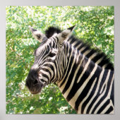 Poster Botswana (Devant)