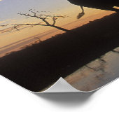 Poster Botswana, Chobe National Park, Elephant (Coin)