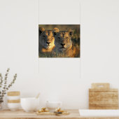 Poster Botswana, parc national de Chobe, Lionnes (Cuisine)