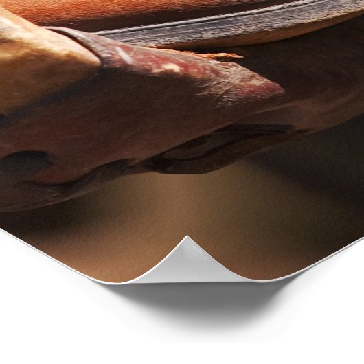 Poster Botte Cowboy (Coin)