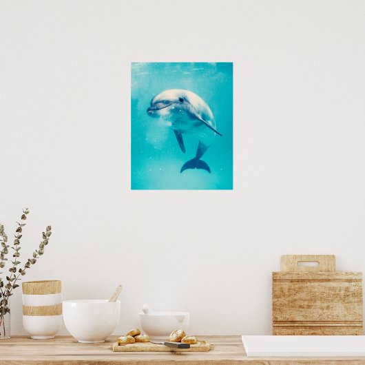 Poster Bottlenosed Dolphin Underwater (Cuisine)