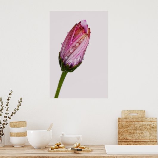 Poster Boubbling daisy (Cuisine)