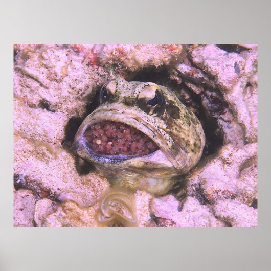 Poster Bouche (Devant)