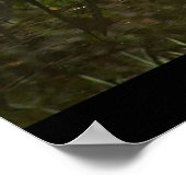 Poster Bouche blanche (Coin)