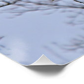 Poster Bouche dans le nid (Coin)