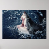 Poster Bouche de requin élevée ouverte (Devant)