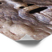 Poster Bouche de vérité, Rome, Italie (Coin)