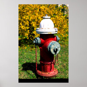 Poster Bouche d'incendie de Nashville