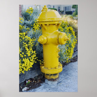 Poster Bouche-feu jaune et fleurs sauvages