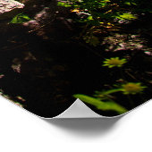 Poster Bouches blanches en fleur nichées dans la roche (Coin)