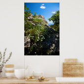 Poster Bouches blanches en fleur nichées dans la roche (Cuisine)