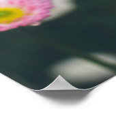 Poster Bouches et panneaux roses dans le jardin verdoyant (Coin)