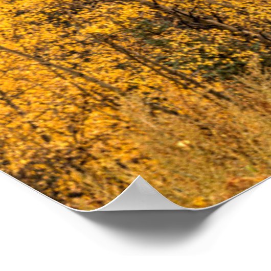 Poster Boucle alpine | Silverton, Colorado (Coin)