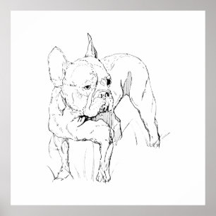 Poster Boucledog français – Illustration de chien dessiné