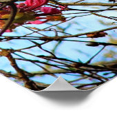 Poster Boucles de fleurs roses sur un arbre (Coin)