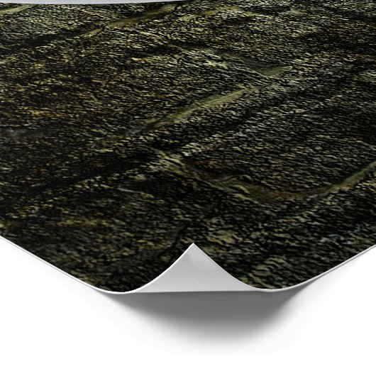 Poster Bouclier celtique (Coin)