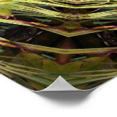 Poster Bouclier de la jungle (Coin)