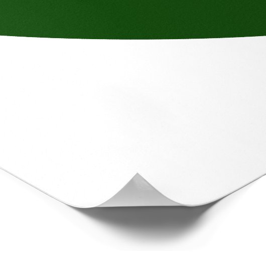 Poster Bouclier tzahal (Coin)