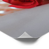 Poster Boud et perles de roses rouges (Coin)