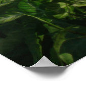 Poster Bouddha (Coin)