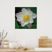 Poster Bouddha citation Lotus flower (Cuisine)