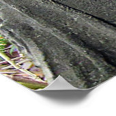 Poster Bouddha Figur mit Bambus im Hintergrund (Coin)