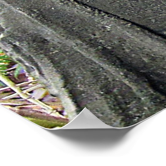 Poster Bouddha Figur mit Bambus im Hintergrund (Coin)