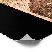 Poster Bouddha Siem Reap (Coin)