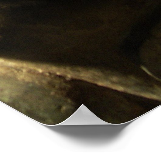 Poster Bouddha silencieux (Coin)