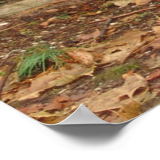 Poster Bouddha sous la pluie (Coin)