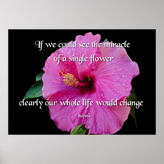 Poster Bouddha, Une Fleur Unique (Devant)