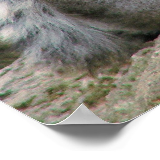 Poster Bouddles de lémur (Coin)