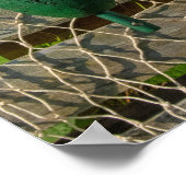 Poster Bouées de homard (Coin)