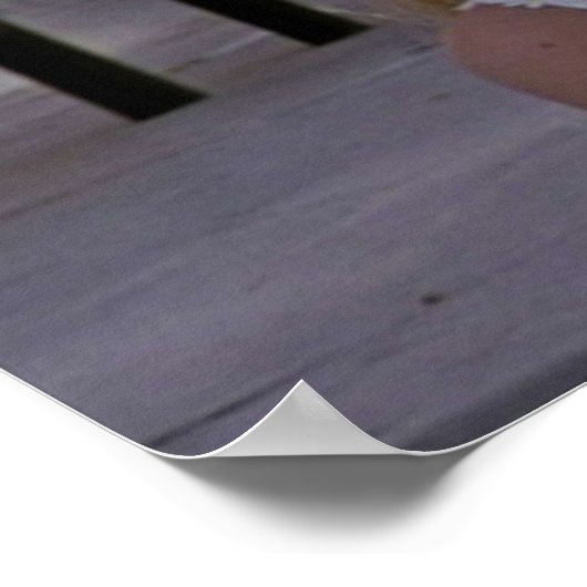 Poster bouffon (Coin)