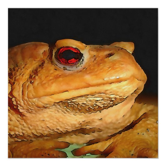 Poster Boufo Bufo Bufo, Boufo noir (Devant)