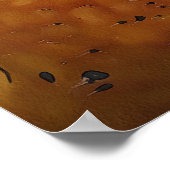 Poster Boufo Bufo Bufo, Boufo noir (Coin)