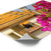 Poster Bougainvillea (Coin)