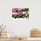 Poster Bougainvillea (Cuisine)