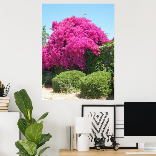 Poster Bougainvillea (Bureau à domicile)