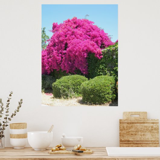 Poster Bougainvillea (Cuisine)