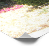 Poster Bougainvillea (Coin)