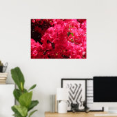 Poster Bougainvillea (Bureau à domicile)