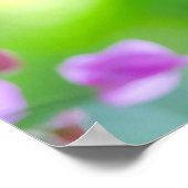 Poster Bougainvillée Violette Délicate (Coin)