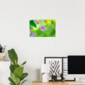 Poster Bougainvillée Violette Délicate (Bureau à domicile)