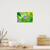 Poster Bougainvillée Violette Délicate (Cuisine)