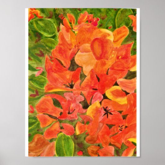 Poster Bougainvillées orange et jaune (Devant)