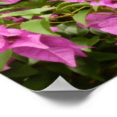 Poster Bougainvillées tropicales violettes (Coin)